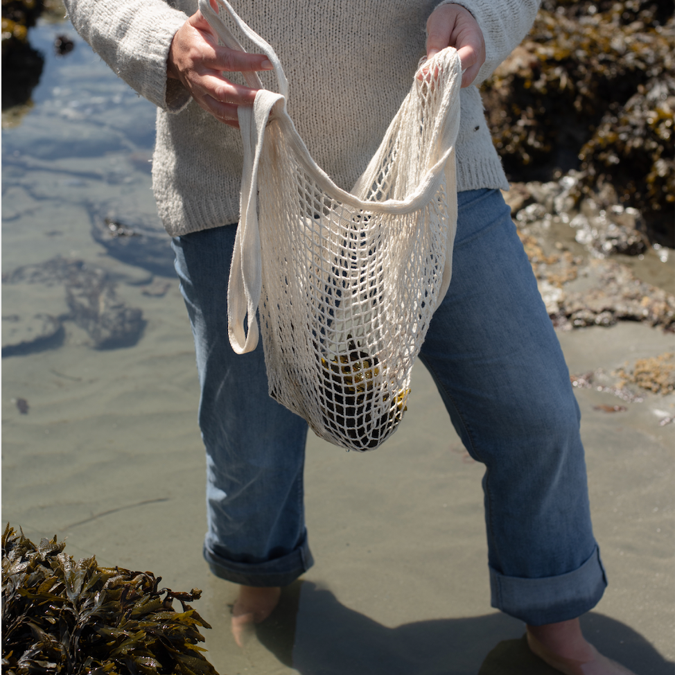 An Ode to the Ocean – Sealuxe