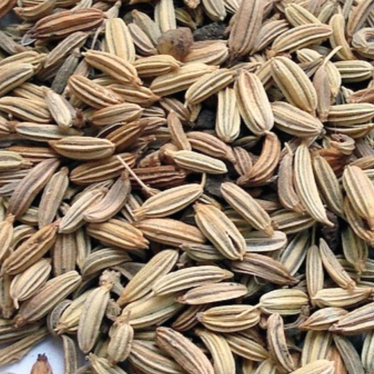 fennel seeds for skincare