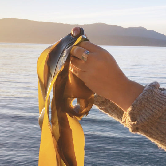 Seaweed for Sunscreen
