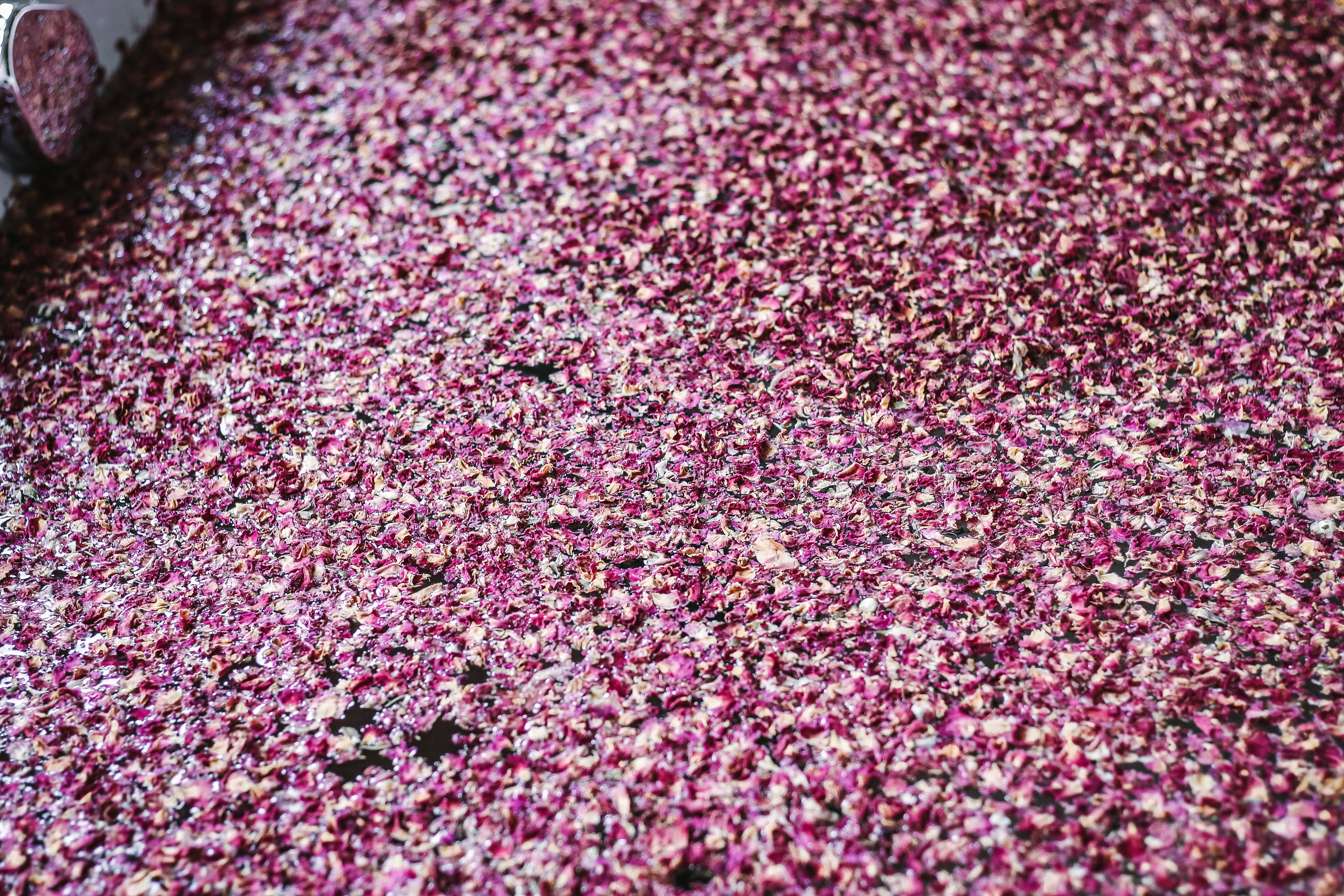 How to Repurpose Your Rose Petals