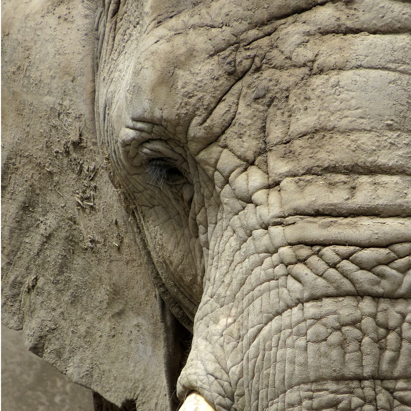 How Cold Weather Affects Your Skin