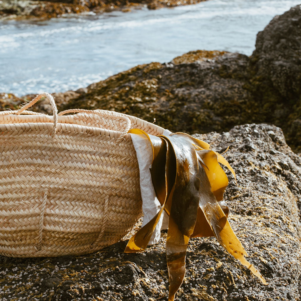 We’re Dedicated to Helping the Planet