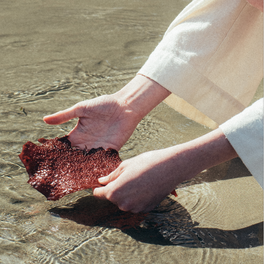 is seaweed good for you