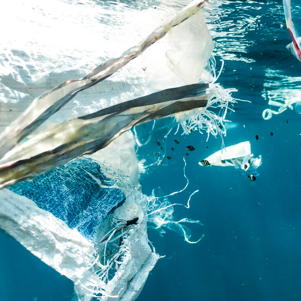 plastic pollution in our ocean and coastal cleanup