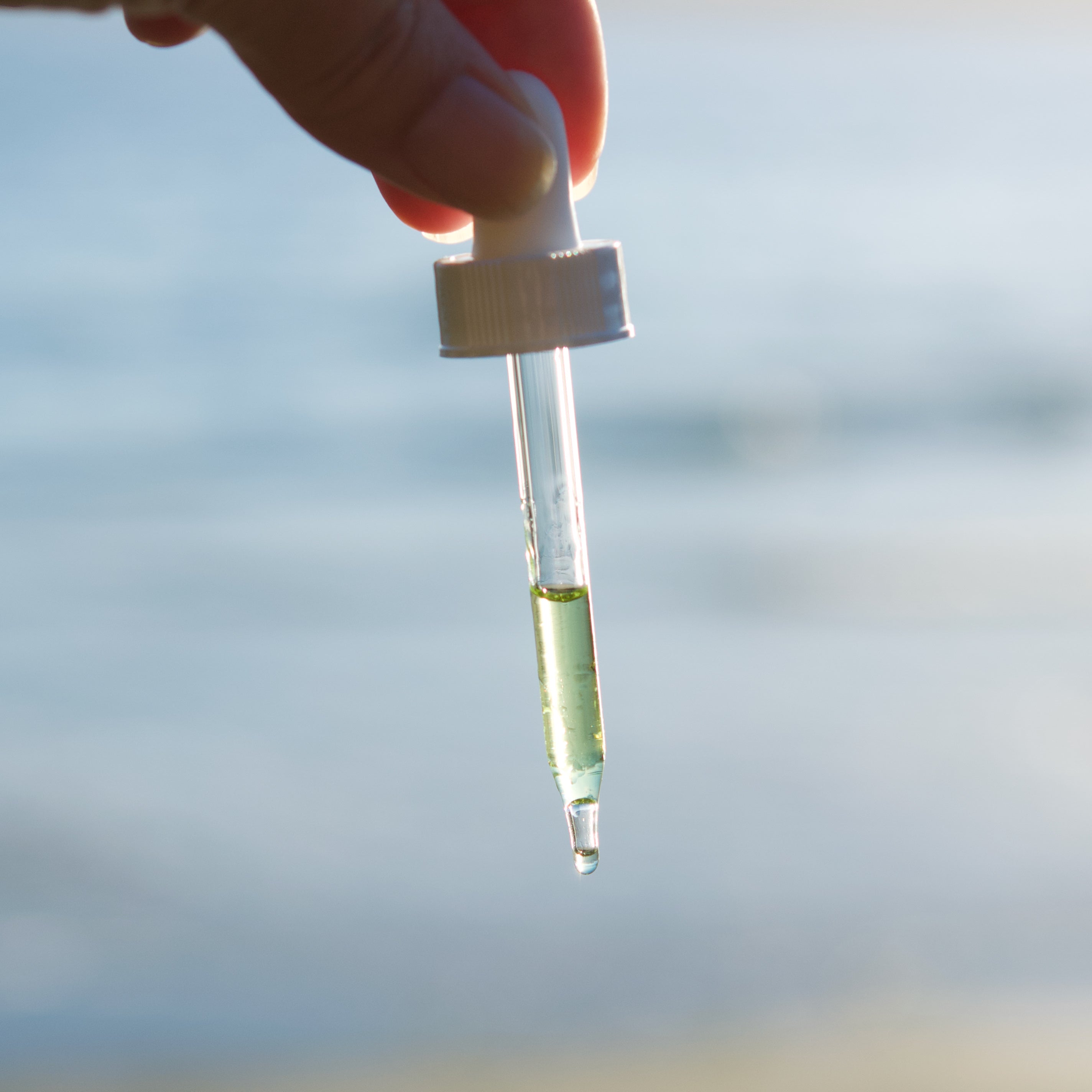 Unlock the Secret to Glowing Skin with Bladderwrack