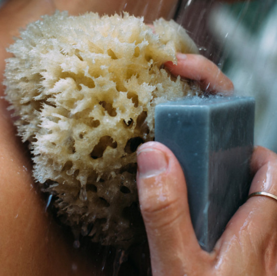 foaming soap bar with seaweed