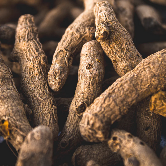 turmeric benefits