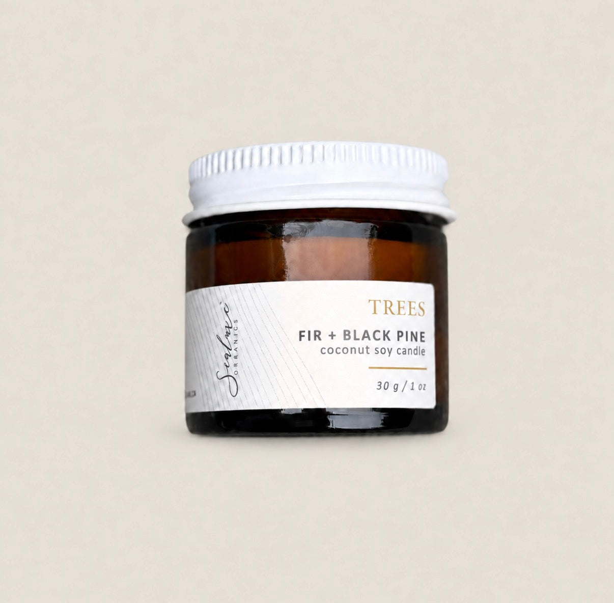 A small amber glass jar candle with a white screw-top lid and a white label reading TREES FIR + BLACK PINE coconut soy candle, centered on a warm beige background.