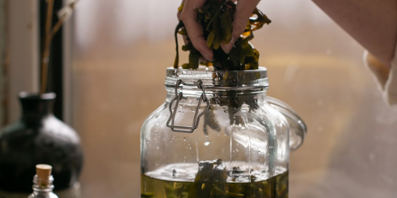 the benefits of using infused seaweed in your skincare products