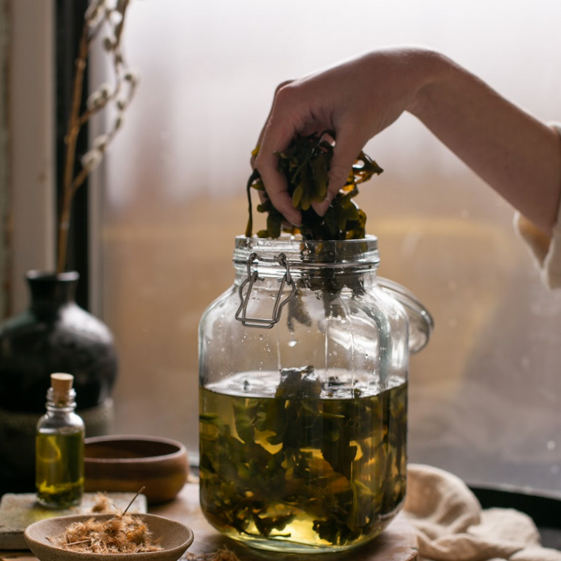 the benefits of using infused seaweed in your skincare products