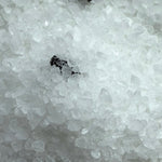 Close-up of white salt crystals with a small black object