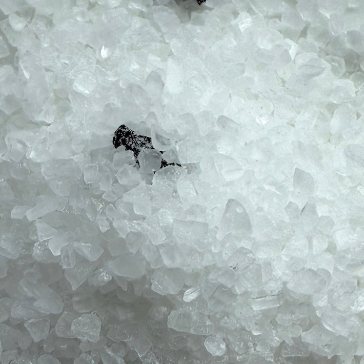 Close-up of white salt crystals with a small black object