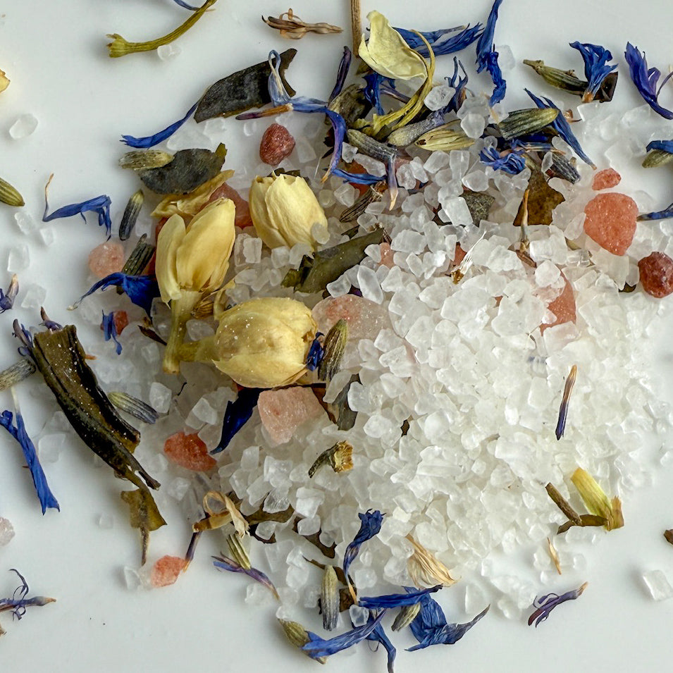 Assorted dried flowers and herbs on a white background