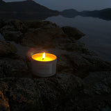 Kelp Forest candle