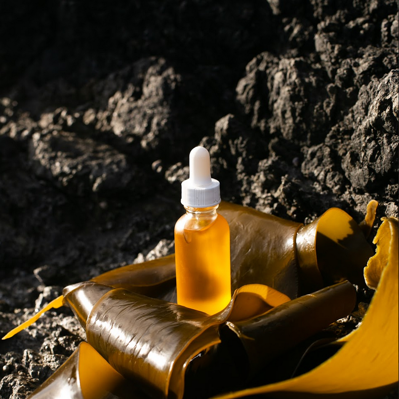 protect facial oil sitting on bull kelp