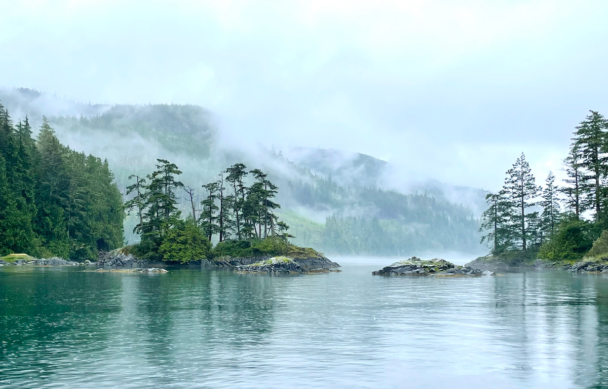 Misty forested islands reflected in calm teal ocean water on the British Columbia coast — Sealuxe natural ingredient sourcing