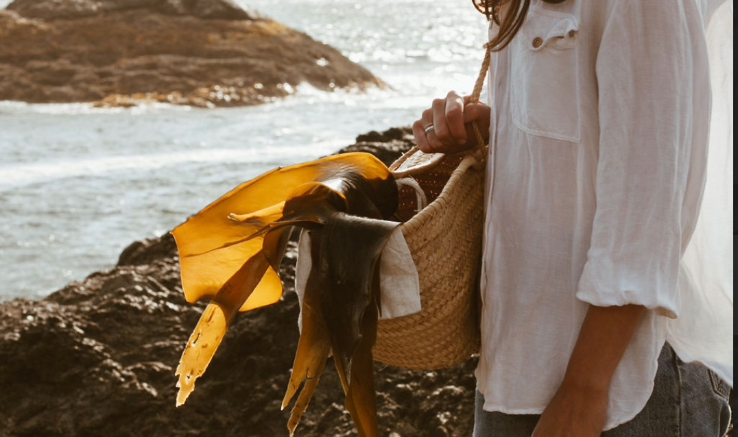 Woman in white linen shirt standing on rocky BC shoreline beside a basket of freshly harvested kelp — Sealuxe natural ingredient sourcing