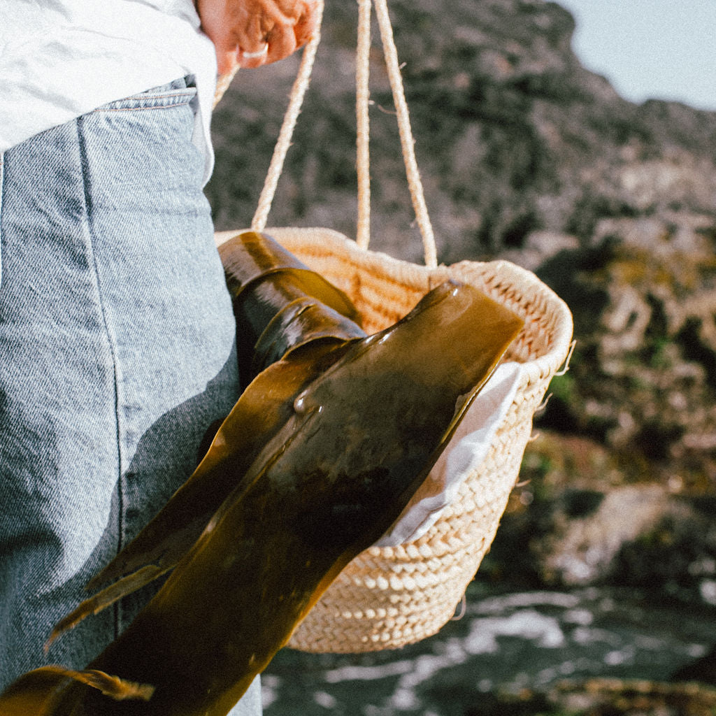 Person holding a woven basket with seaweed against a natural background
